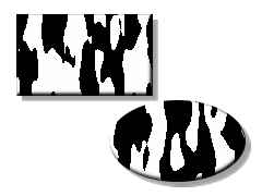 Example for the Bovination filter