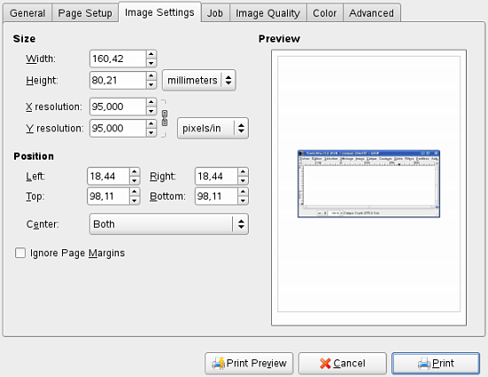 The Print dialog